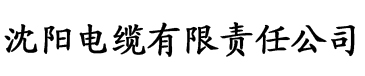 小黄鸭在线视频导航电缆厂logo